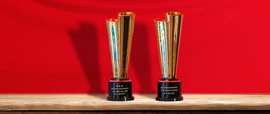 益起向未来 南宫NG·28(中国)相信品牌力量荣膺第十二届公益节两项大奖