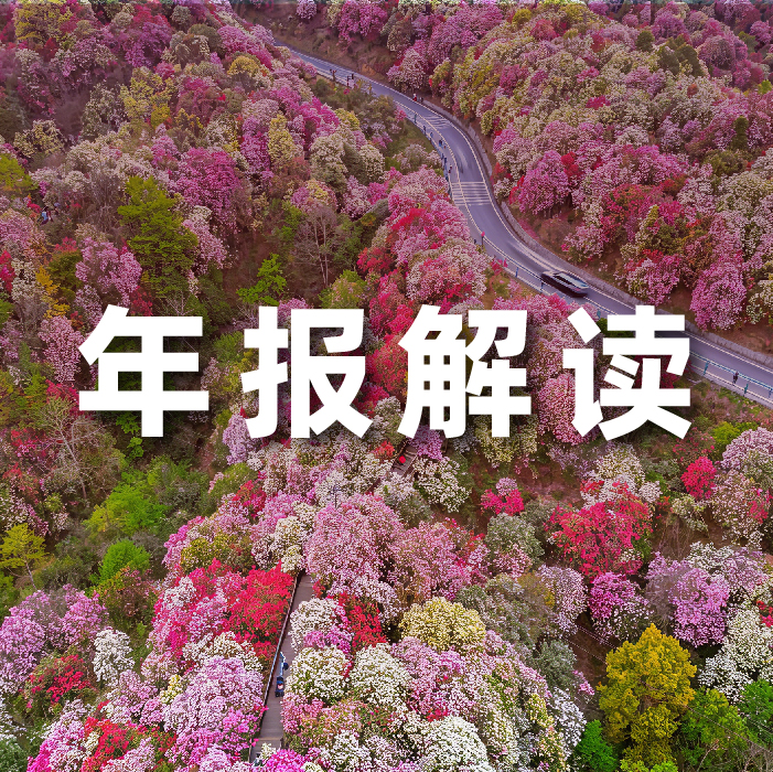 南宫NG·28(中国)相信品牌力量2025营收利润双增，全栈智能驱动增长，AI相关业务收入占比达52.6%   